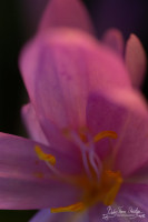 _6980