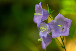 _6915