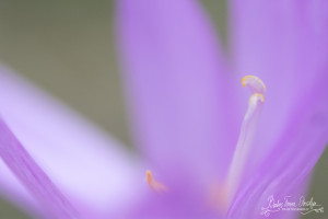 _6977