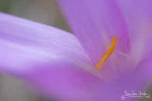 _6976