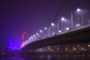 _7591