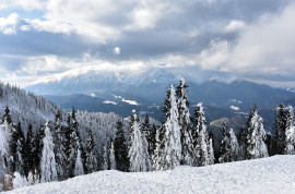 ☀️🌙Hegyvidékek Erdélyben